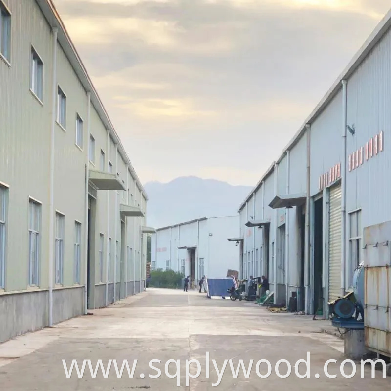 Shuttering/Marine Plywood, Construction Waterproof Film Faced Plywood for Building